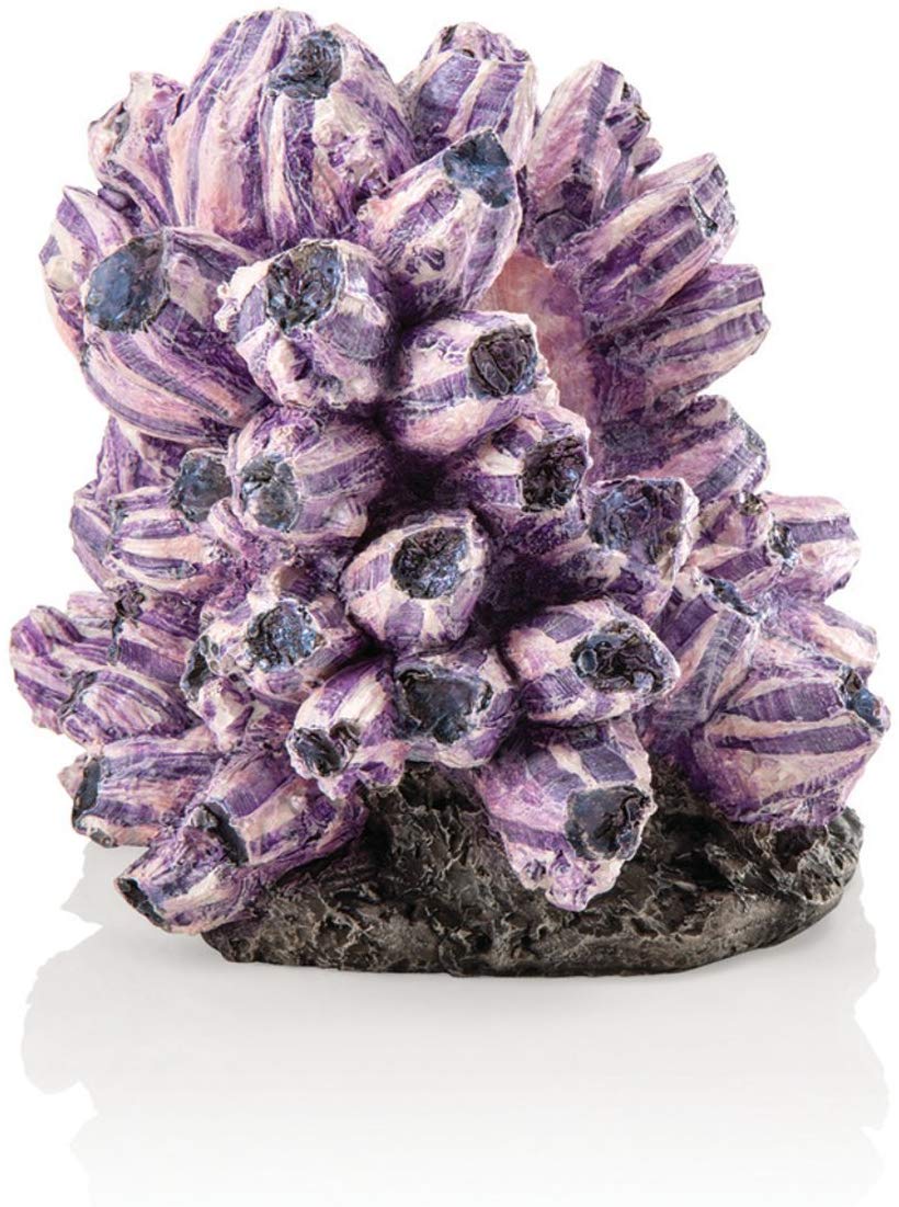Oase biOrb Barnacle Cluster Ornament (48359)