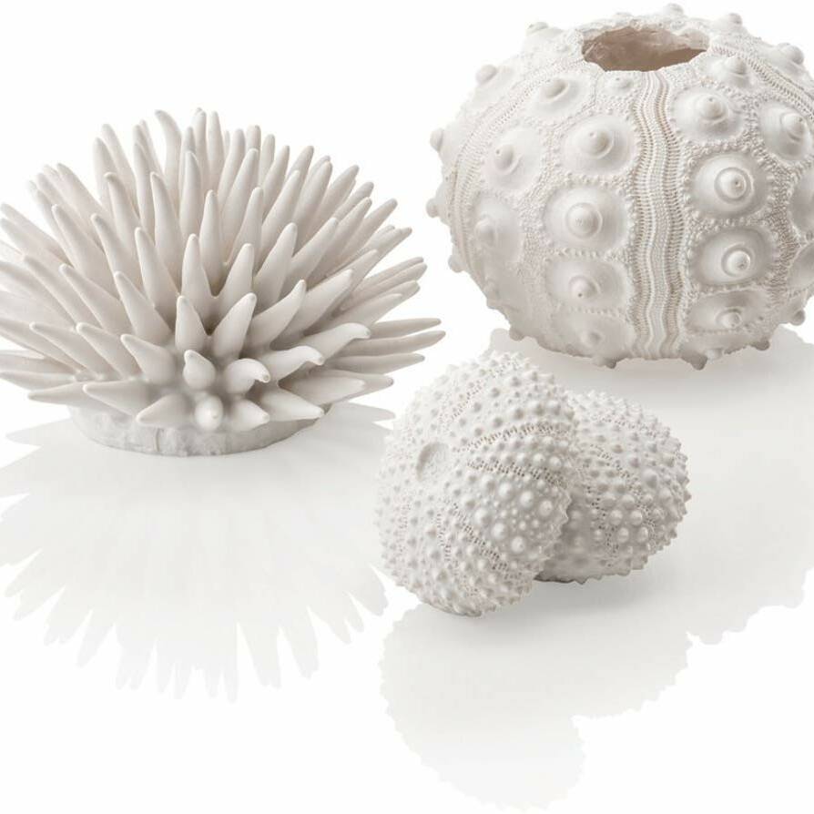 Oase biOrb Sea Urchins Set Of 3 - White (48364)