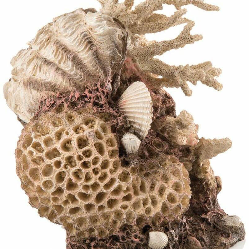 Oase biOrb Natural Coral-Shells Ornament (48360)