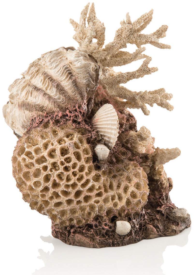 Oase biOrb Natural Coral-Shells Ornament (48360)