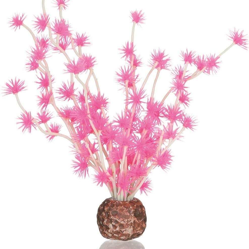 Oase biOrb Bonsai Ball Pink (55067)