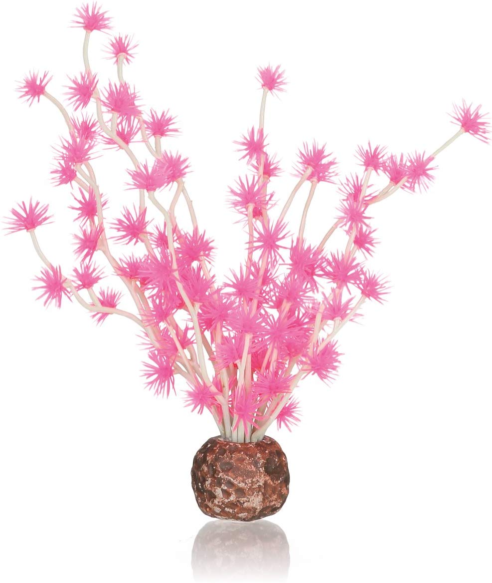 Oase biOrb Bonsai Ball Pink (55067)