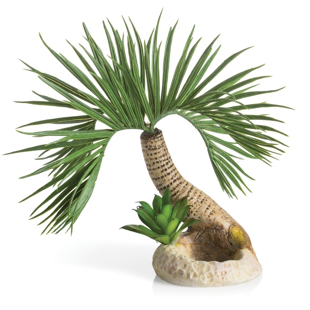 Oase biOrb Palm Tree Seychelles Medium (72679)