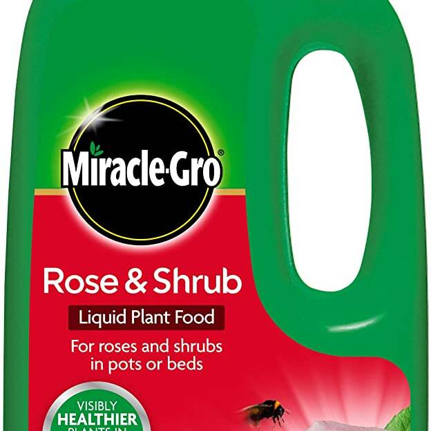 Miracle-Gro Rose & Shrub Food 1L Liquid