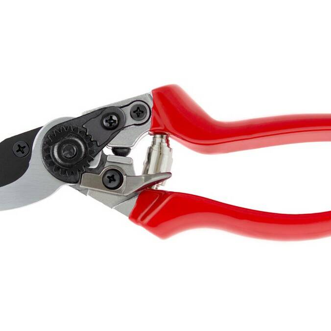 Darlac Professional Pruner