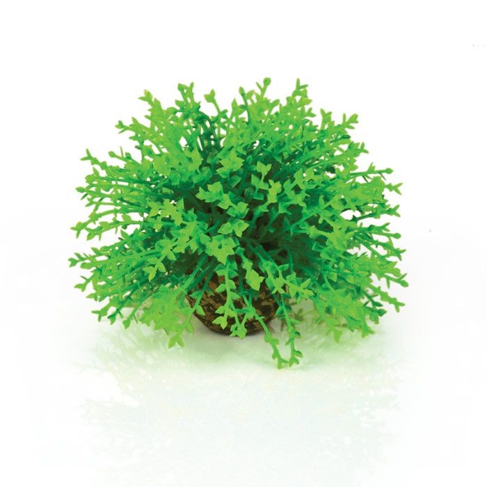 Oase BiOrb Flower Ball - Green (46087)
