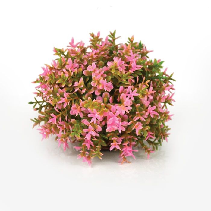 Oase BiOrb Flower Ball Pink (46088)
