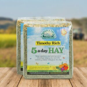 Natures Own 5 A Day Hay 1kg