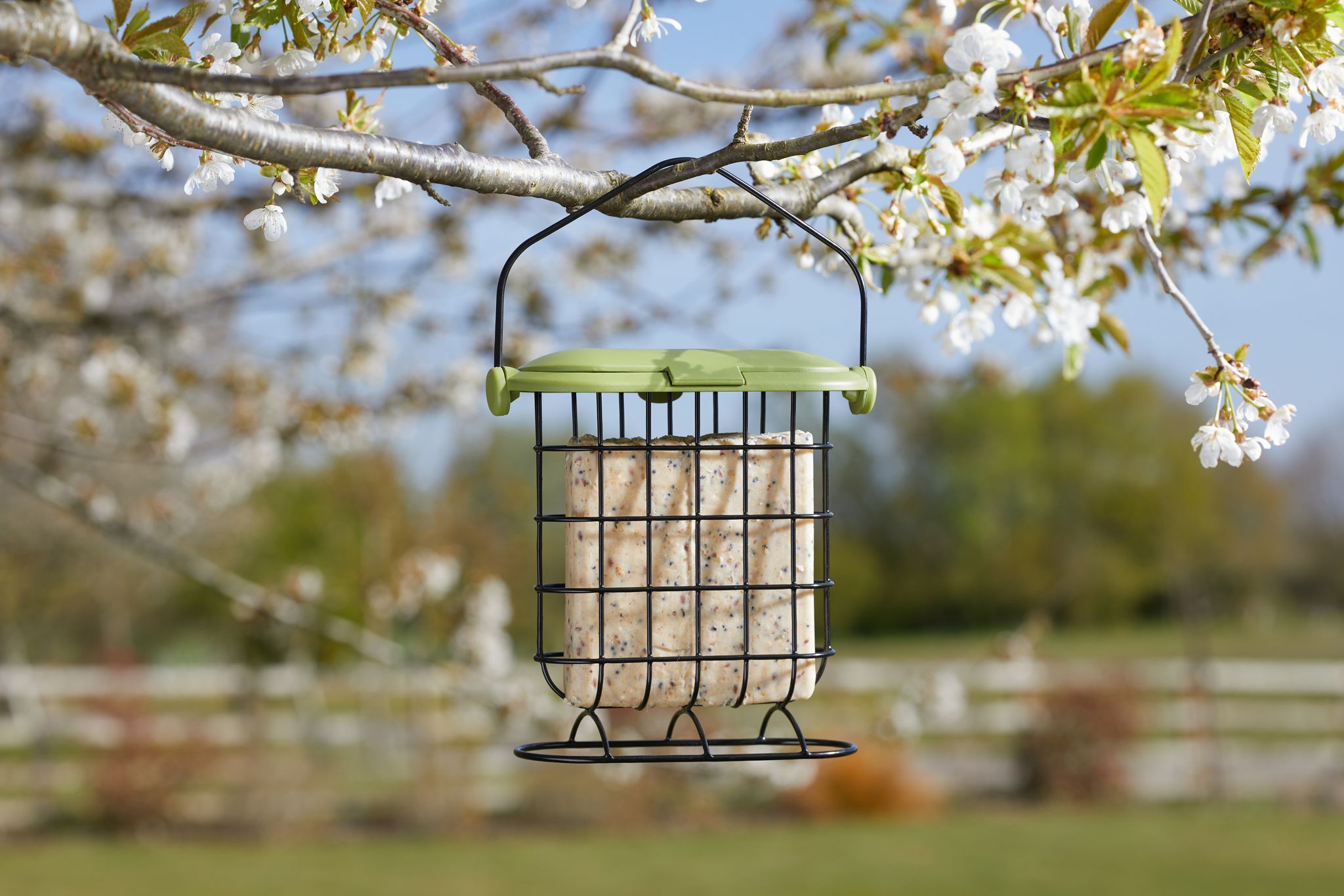 Suet Cake Feeder • Homeleigh Garden Centres