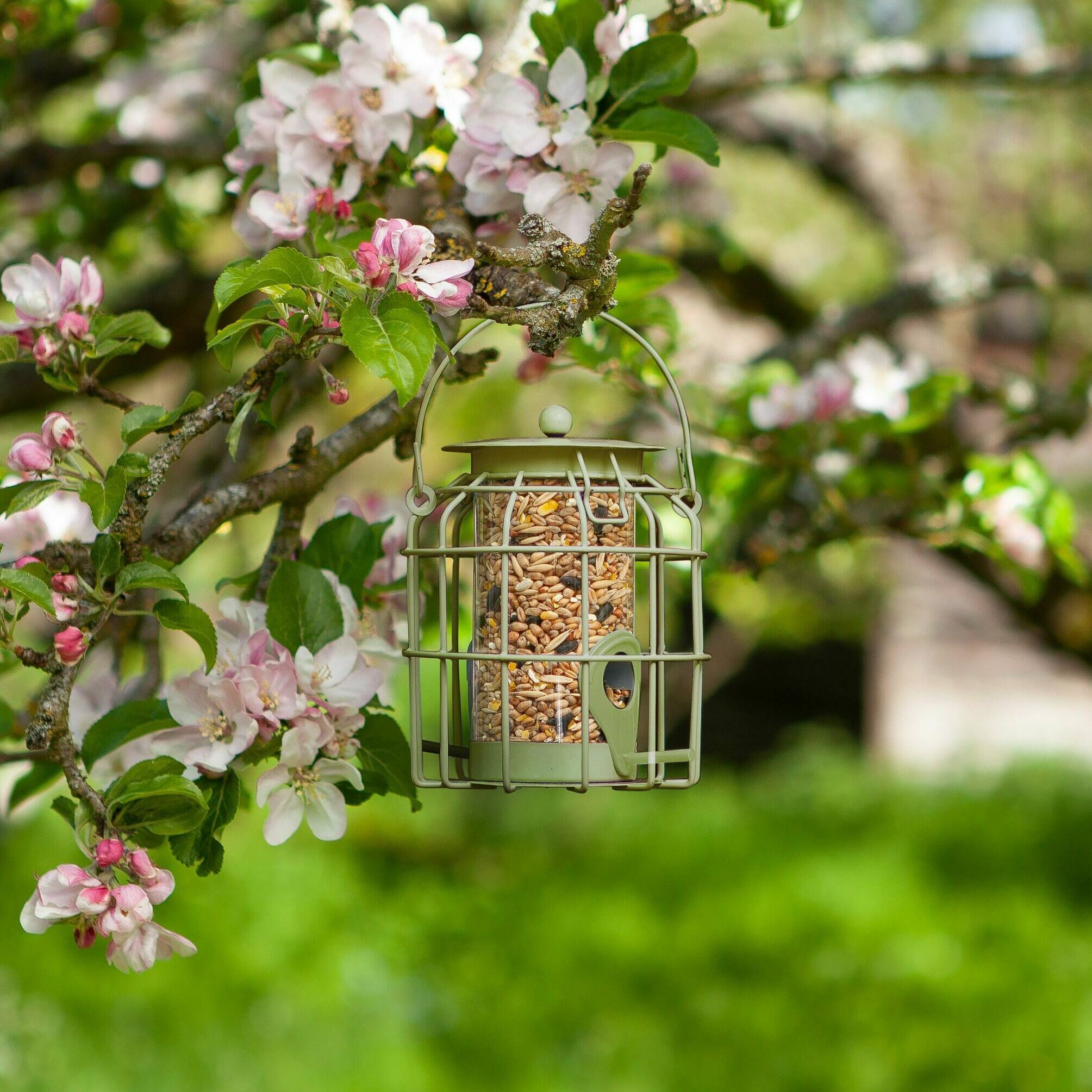 Compact Squirrel Proof Seed Feeder