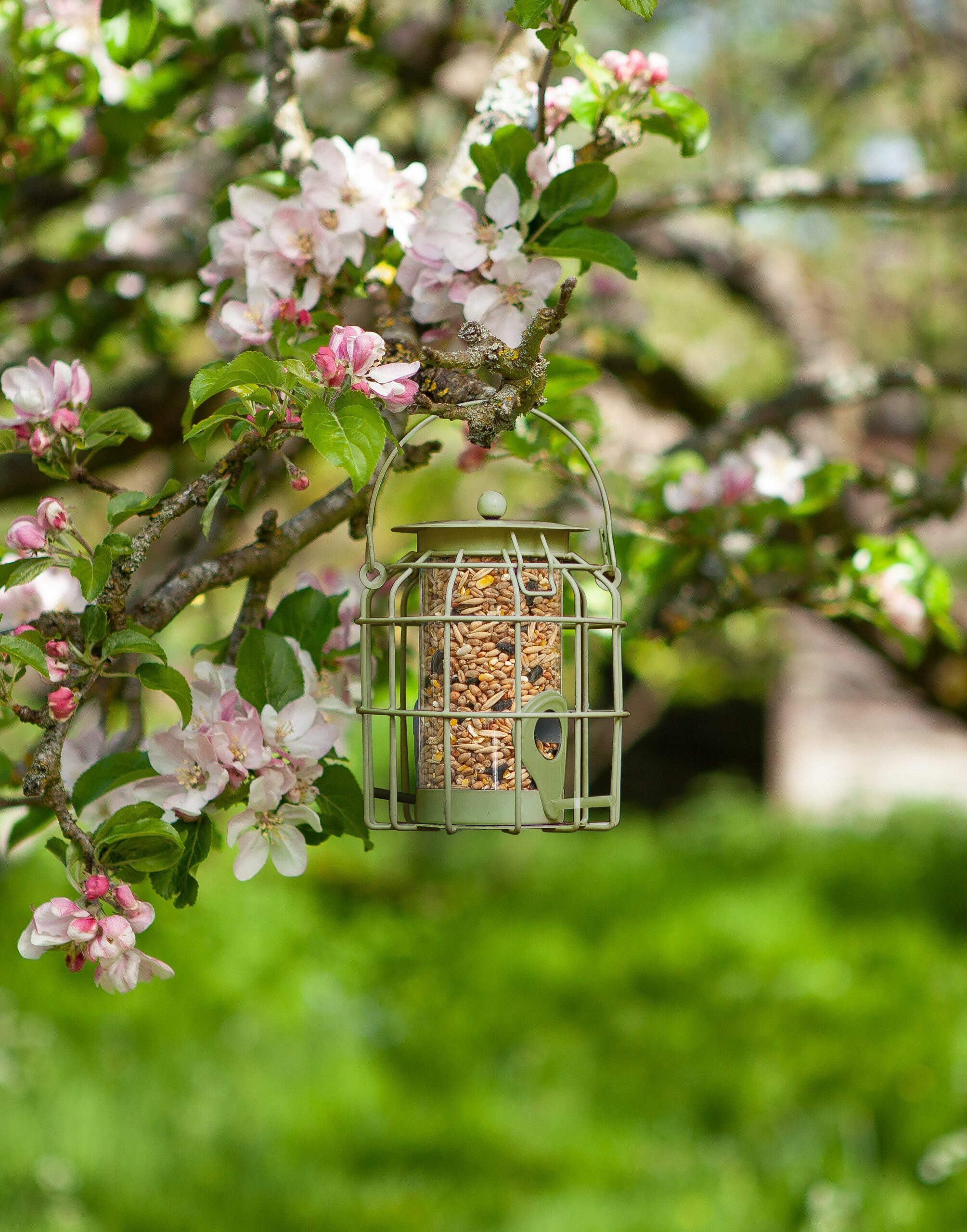 Compact Squirrel Proof Seed Feeder