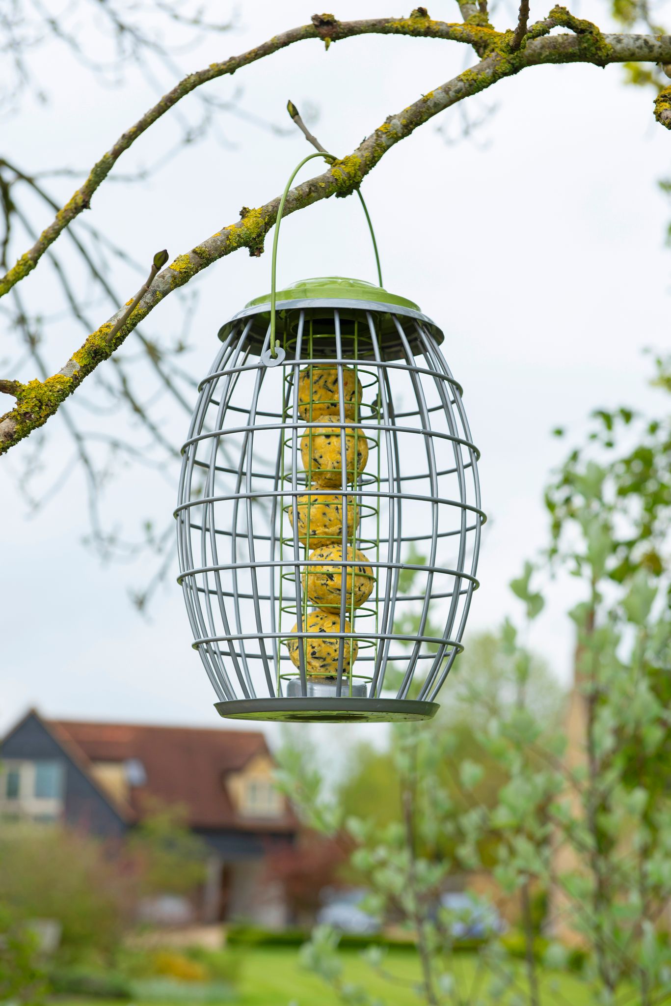 Ultra Squirrel Proof Suet Ball Feeder • Homeleigh Garden Centres