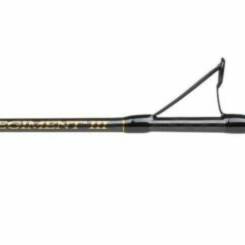 Penn Regiment Jig 30/50lb