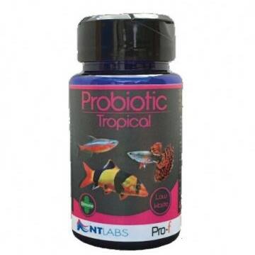 NT Labs Pro-f Probiotic Tropical - 45g