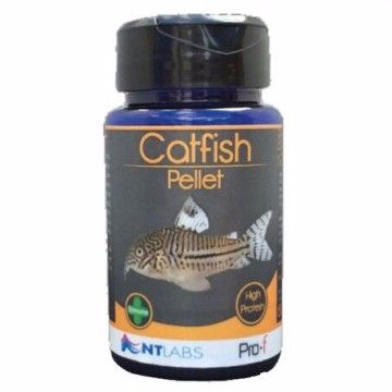 NT Labs Pro-f Catfish Pellet - 60g
