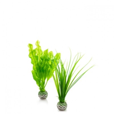 Oase BiOrb Easy Plant Set - Small - Green (46055)