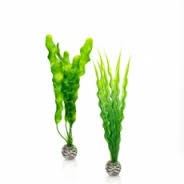Oase BiOrb Easy Plant Set - Medium - Green (46056)