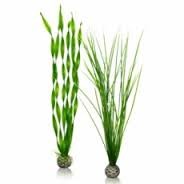 Oase BiOrb Easy Plant Set - Large - Green (46057)