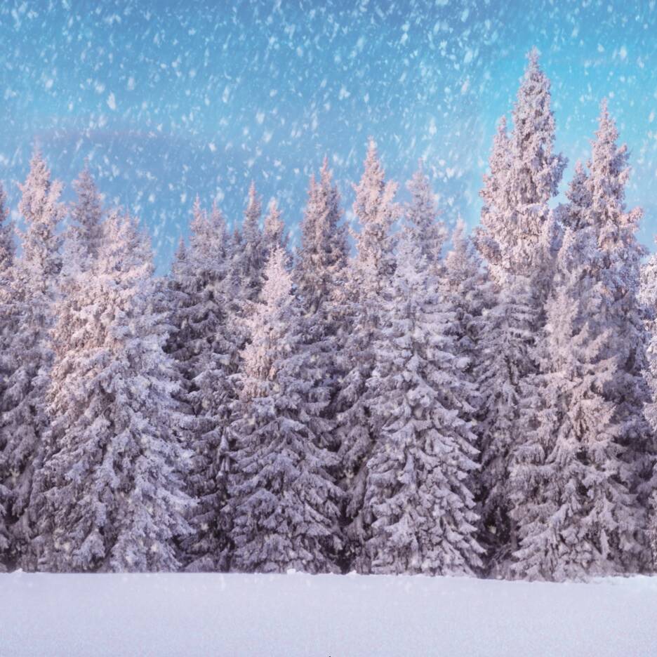 BACKGROUND CLOTH SNOW FOREST 150x75CM