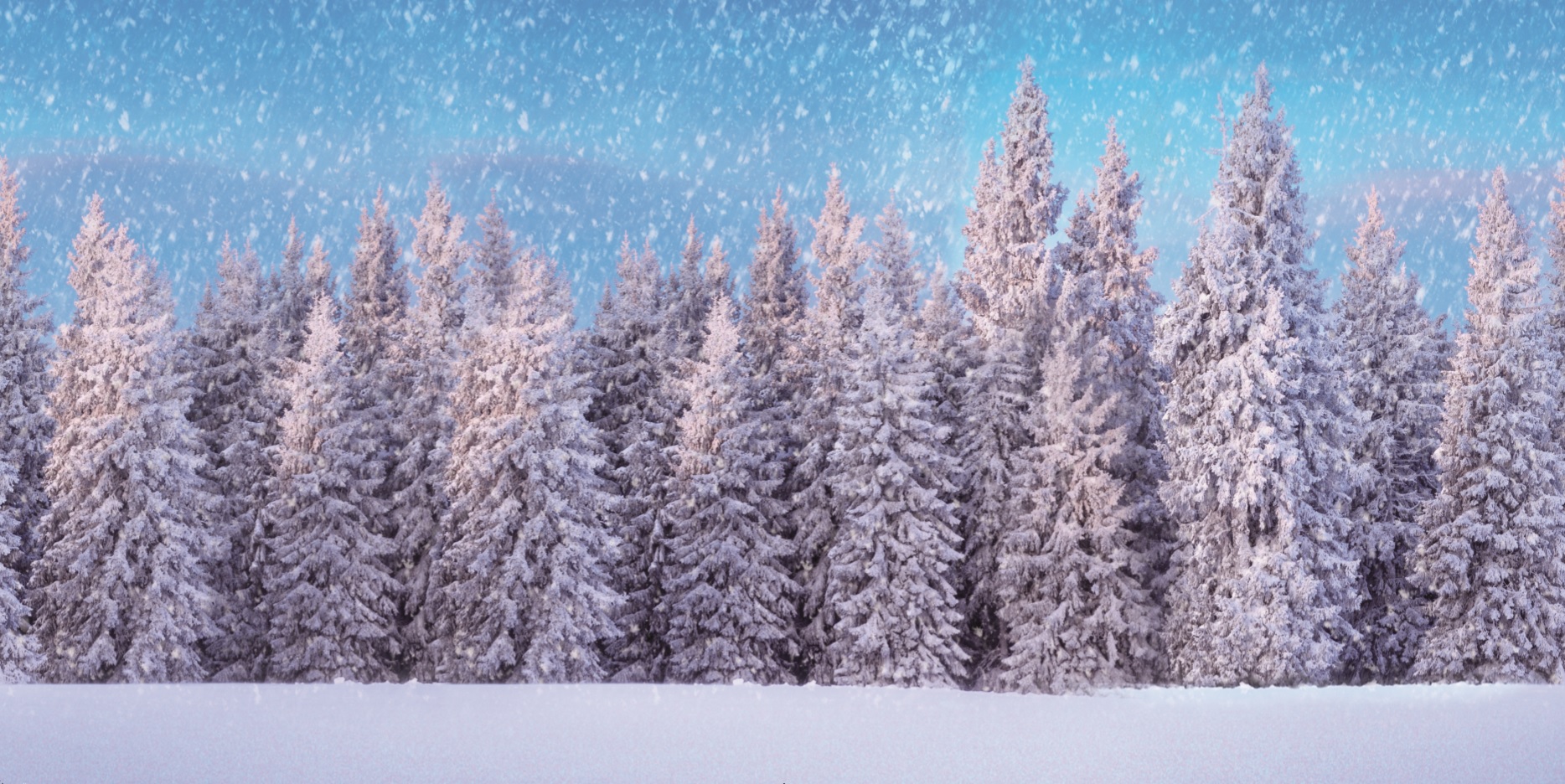 BACKGROUND CLOTH SNOW FOREST 150x75CM