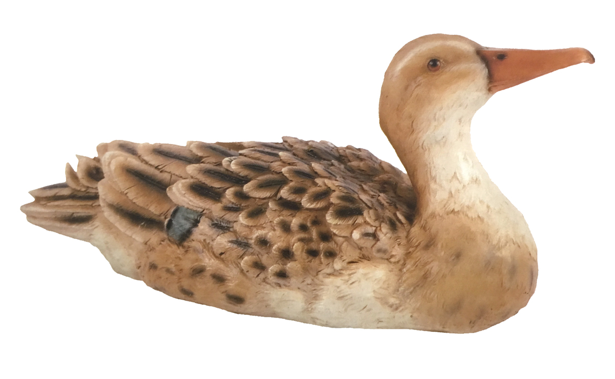 Aqua Creations Hamac Sitting Duck