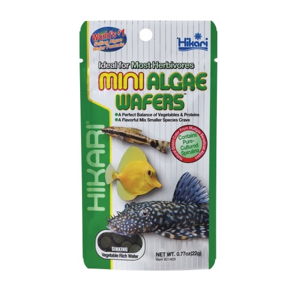 Hikari Mini Algae Wafer 22G