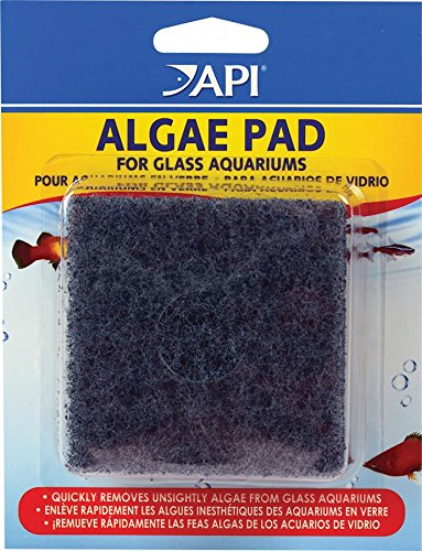 Api Algae Pads For Glass