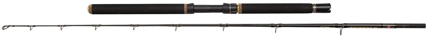 Penn REGIMENT II XT 7ft 12-30lb