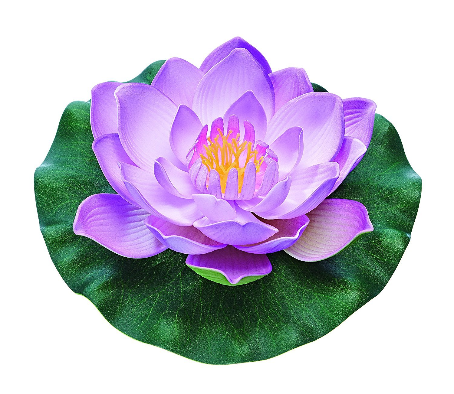 Oase Pontec Pontec Pondo Lily purple