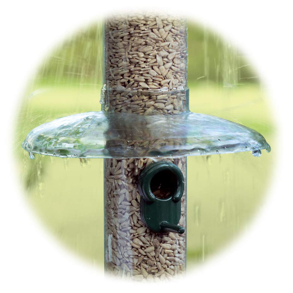 Jacobi Jayne RainAway