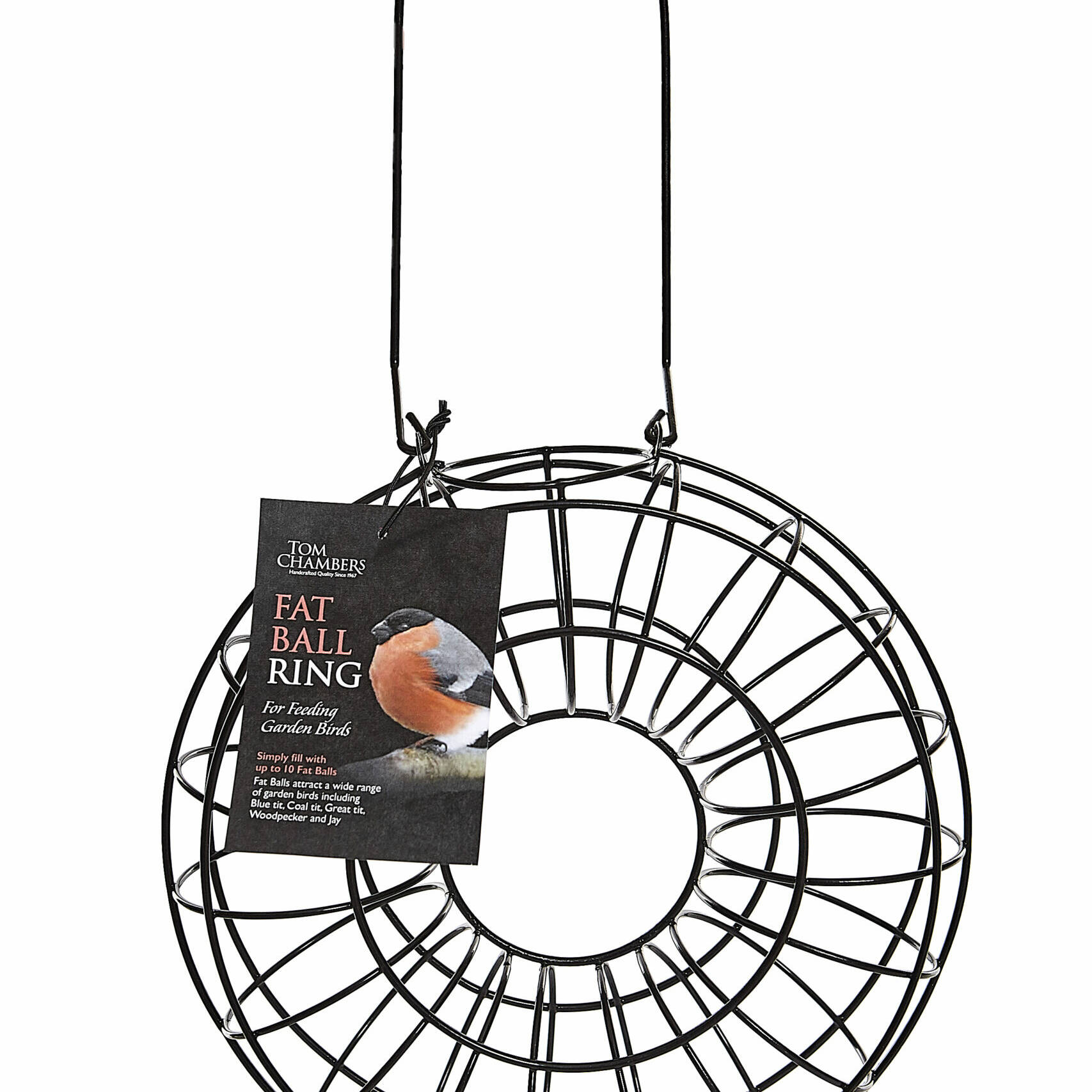Tom chambers Fat Ball Ring (FBS015)