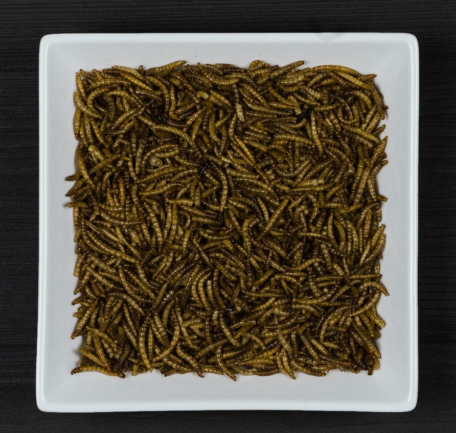 Dried Mealworm Tub 1.2kg + 33% Extra Free