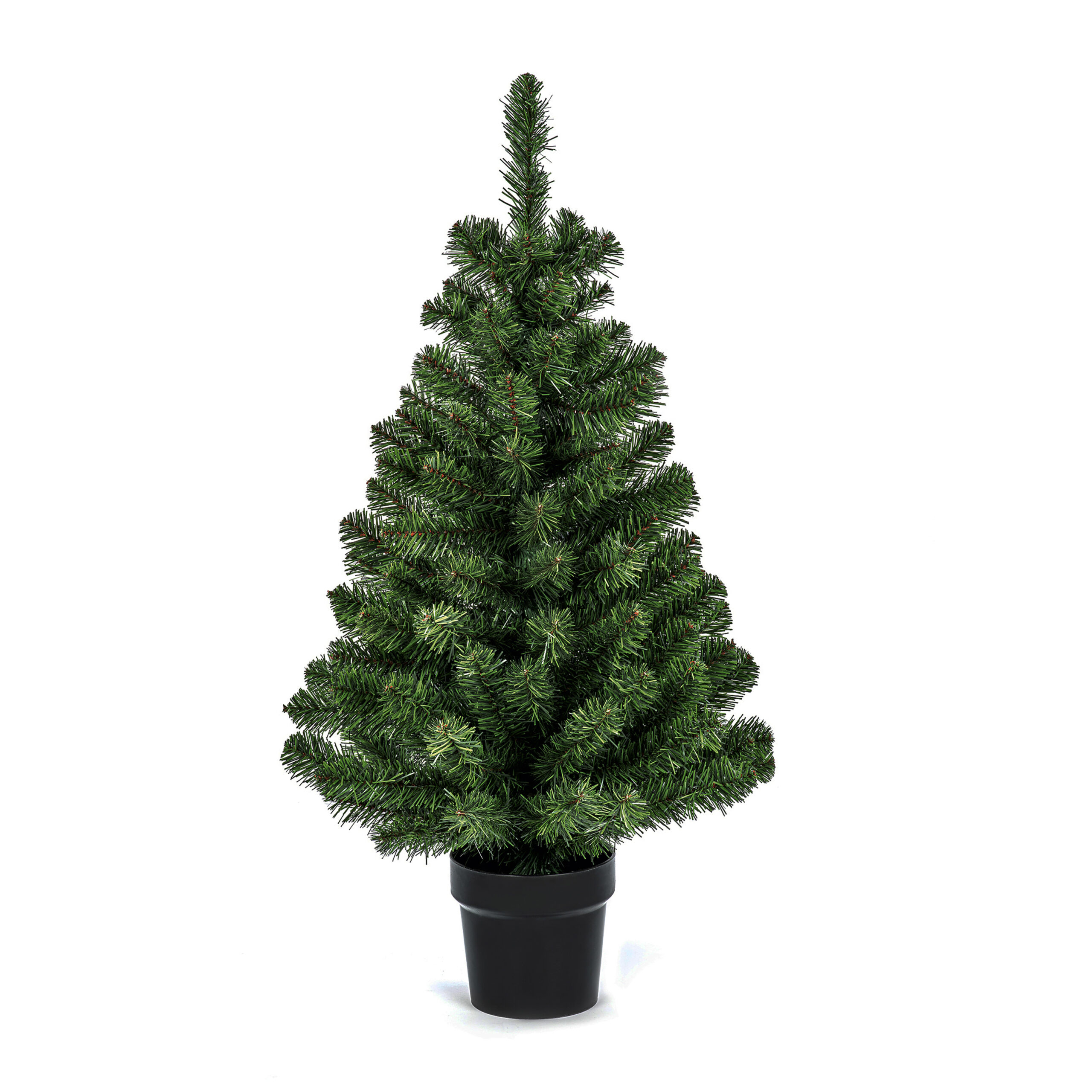 PREMIER 90CM WOODCOTE SPRUCE IN POT