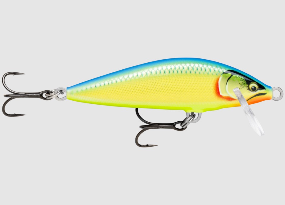 Rapala Countdown Elite, 5.5cm. Gilded Parrot