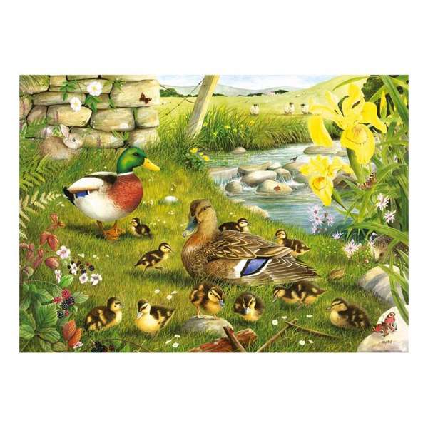 HOP Jigsaw Ducks To Water Big 500 Puzzle