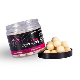 Nash, Citruz Pop Ups, Pink, 20mm