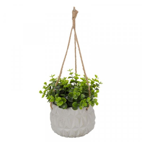 S/G DECOPOT